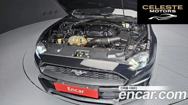 FORD Coupé 2018 — photo 6 sur 20