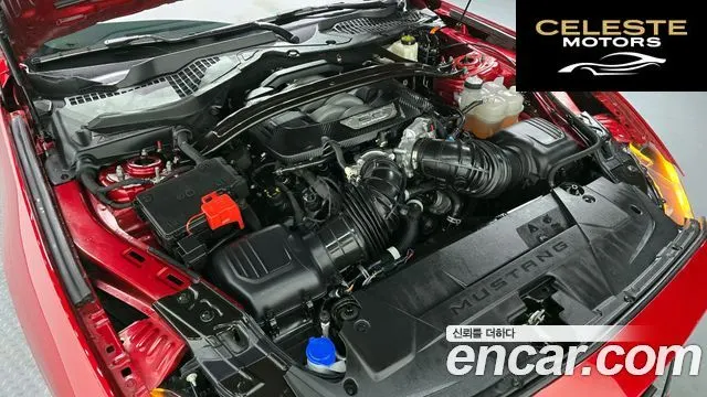 FORD 75.0 GT Premium Cabriolet 2024 — photo 5 sur 20