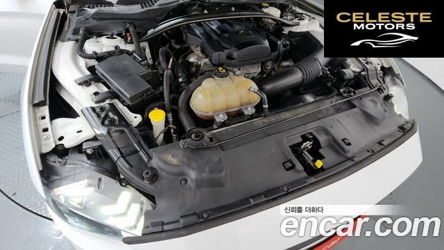 FORD Coupé 2019 — photo 6 sur 20