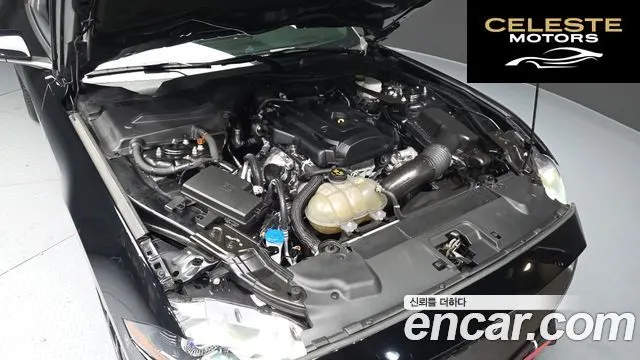 FORD Coupé 2022 — photo 6 sur 20