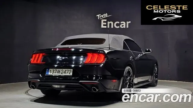 FORD Cabriolet 2021 — photo 2 sur 20