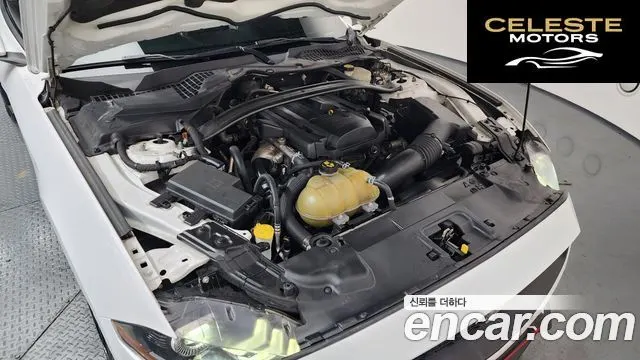 FORD Cabriolet 2019 — photo 6 sur 20
