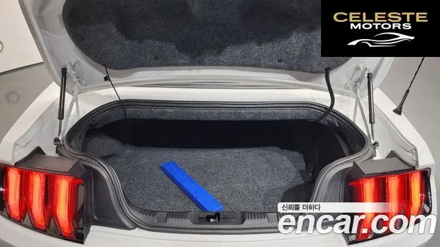 FORD Cabriolet 2019 — photo 20 sur 20