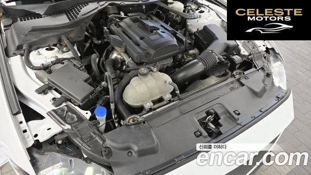 FORD Coupé 2023 — photo 6 sur 26