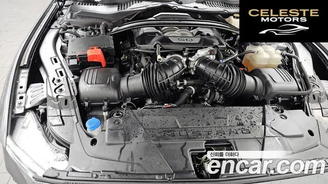 FORD 75.0 GT Premium Cabriolet 2024 — photo 6 sur 20