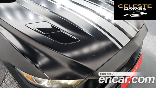 FORD GT Cabriolet 2015 — photo 6 sur 20