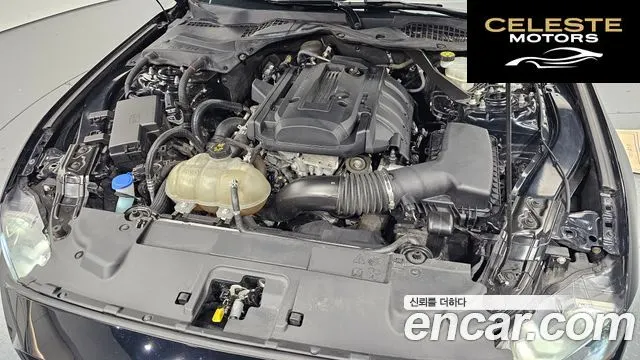 FORD Coupé 2020 — photo 6 sur 20