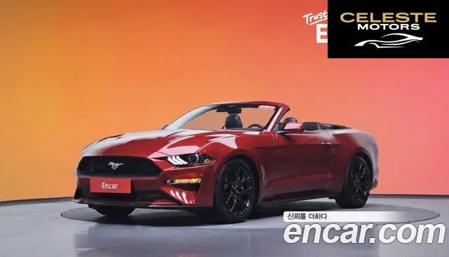 FORD Cabriolet 2022 — photo 20 sur 26