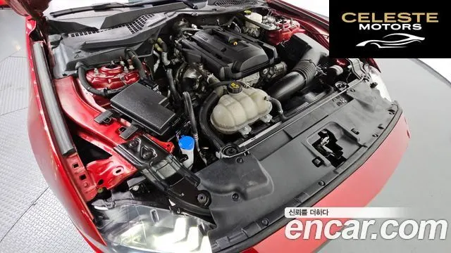 FORD Cabriolet 2022 — photo 5 sur 26