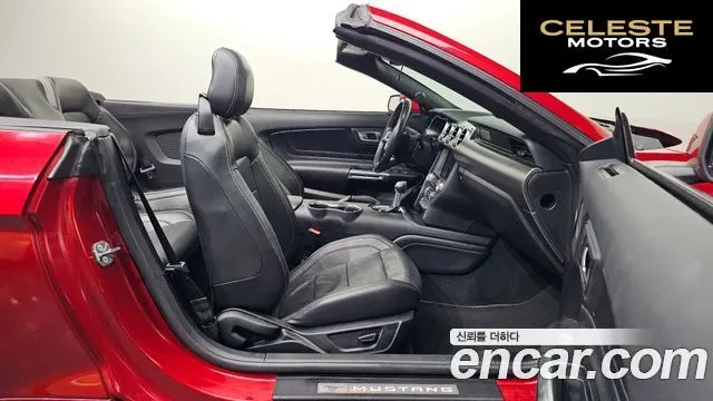 FORD Cabriolet 2022 — photo 10 sur 26