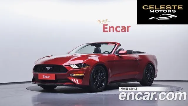 FORD Cabriolet 2022 — photo 25 sur 26