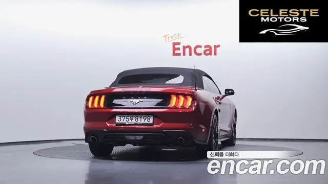 FORD Cabriolet 2022 — photo 3 sur 26