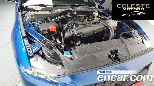 FORD 72.3 Premium Cabriolet 2024 — photo 6 sur 20