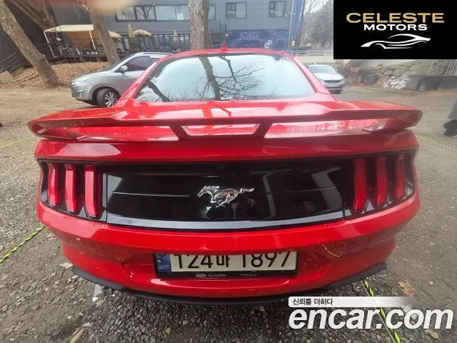 FORD Coupé 2021 — photo 2 sur 17