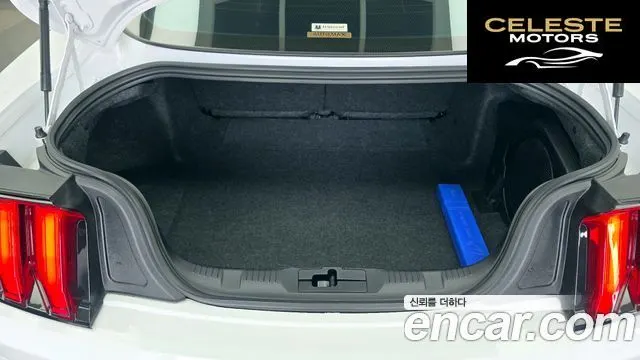 FORD Coupé 2023 — photo 19 sur 20