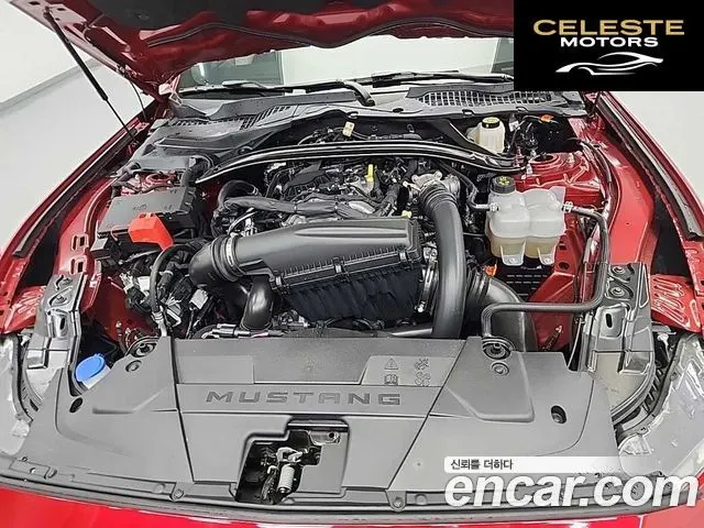 FORD 72.3 Premium Cabriolet 2024 — photo 5 sur 24