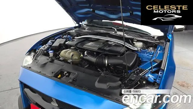 FORD GT Cabriolet 2020 — photo 6 sur 26
