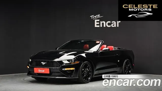 FORD Cabriolet 2021 — photo 23 sur 26