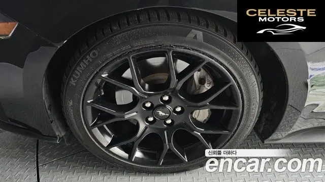 FORD Cabriolet 2021 — photo 5 sur 26