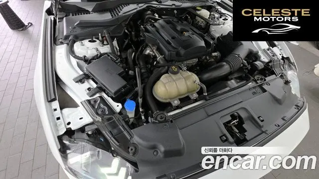 FORD Coupé 2023 — photo 6 sur 20