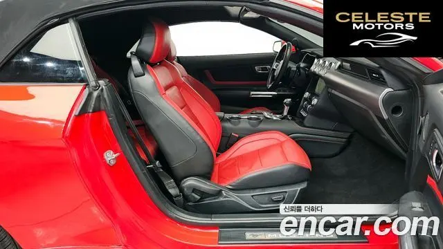 FORD Cabriolet 2023 — photo 10 sur 20