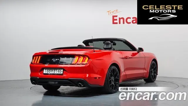 FORD Cabriolet 2023 — photo 2 sur 20