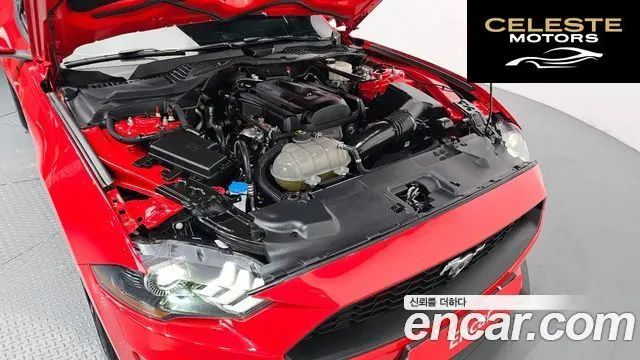 FORD Cabriolet 2023 — photo 6 sur 20