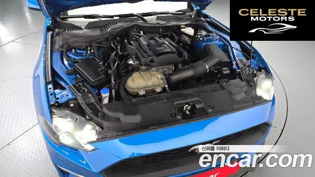 FORD Coupé 2021 — photo 6 sur 20