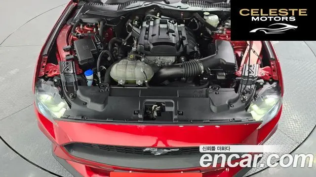 FORD Coupé 2023 — photo 5 sur 26