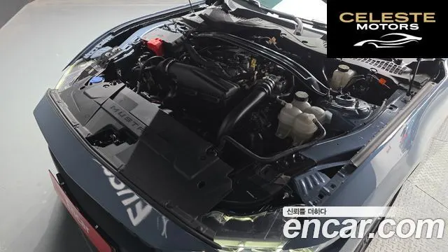 FORD 72.3 Premium Cabriolet 2024 — photo 6 sur 20