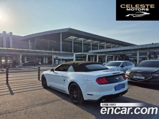 FORD Cabriolet 2022 — photo 2 sur 14