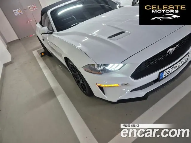 FORD Cabriolet 2022 — photo 3 sur 14