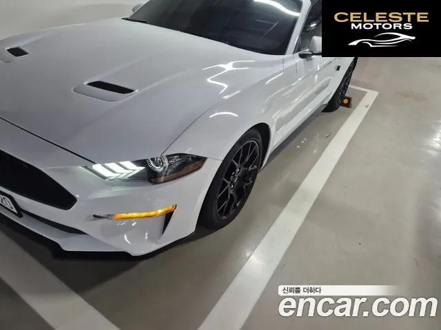 FORD Cabriolet 2022 — photo 4 sur 14