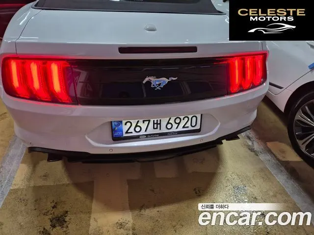 FORD Cabriolet 2022 — photo 5 sur 14