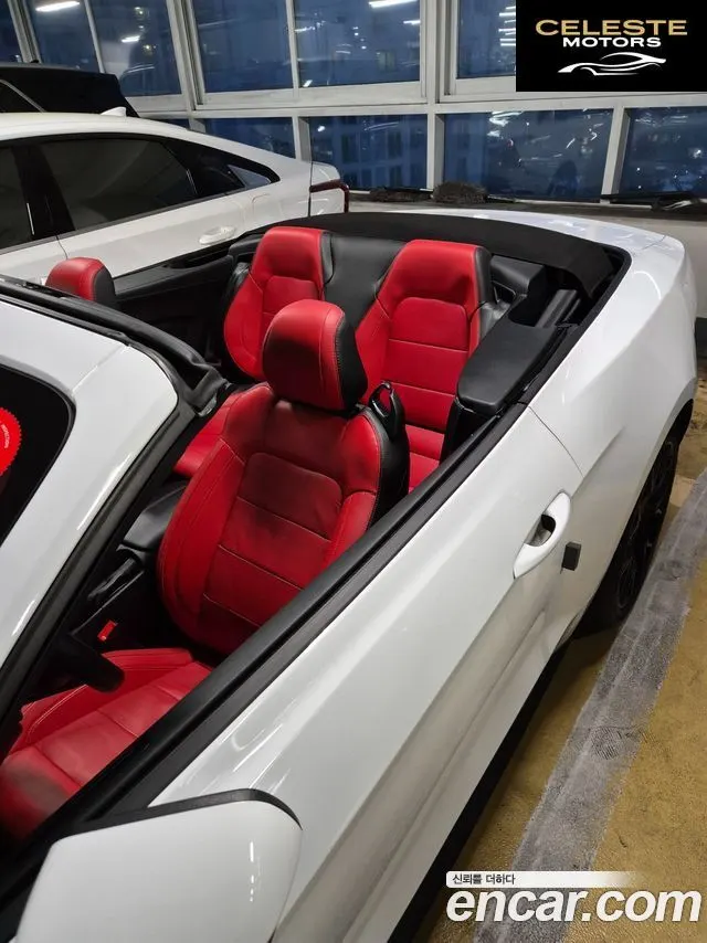 FORD Cabriolet 2022 — photo 6 sur 14