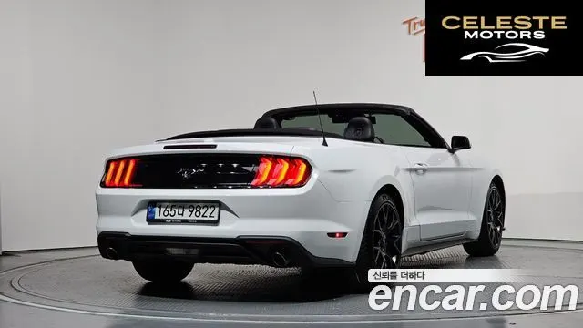 FORD Cabriolet 2022 — photo 2 sur 20