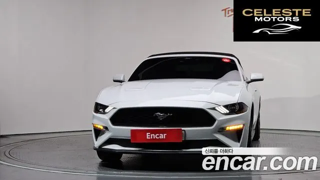 FORD Cabriolet 2022 — photo 3 sur 20