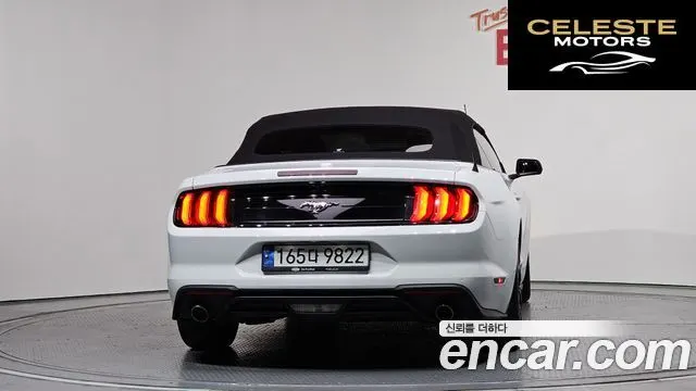 FORD Cabriolet 2022 — photo 4 sur 20