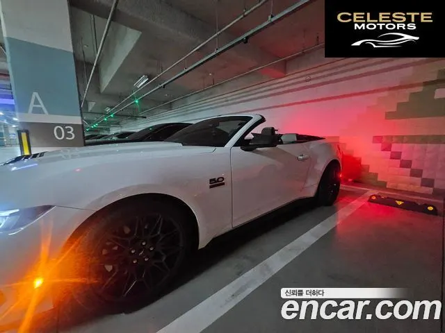 FORD 75.0 GT Premium Cabriolet 2024 — photo 5 sur 7