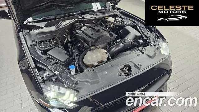 FORD Cabriolet 2022 — photo 6 sur 20