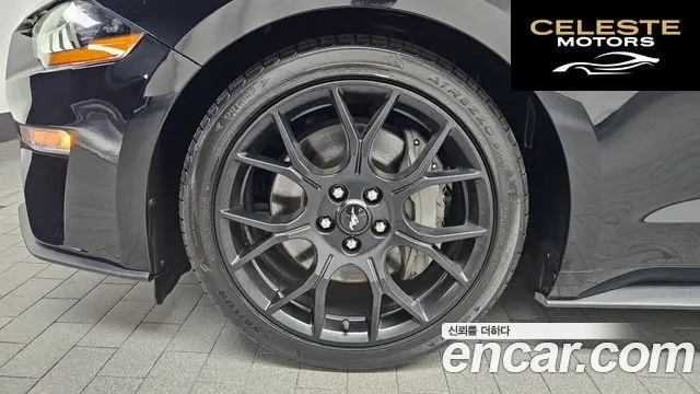 FORD Cabriolet 2022 — photo 5 sur 20