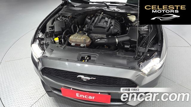 FORD Coupé 2015 — photo 6 sur 20