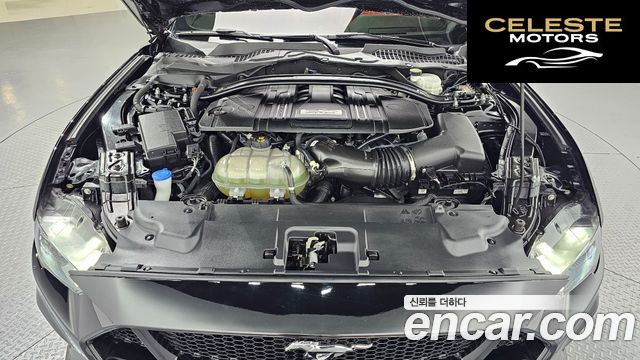 FORD GT Cabriolet 2022 — photo 6 sur 32