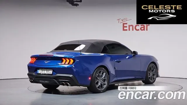 FORD 72.3 Premium Cabriolet 2024 — photo 32 sur 35