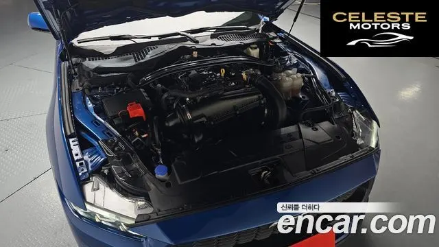 FORD 72.3 Premium Cabriolet 2024 — photo 5 sur 35