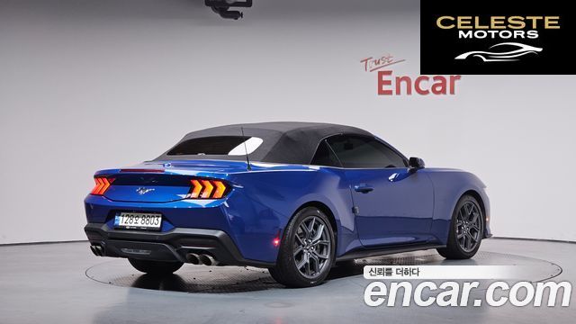FORD 72.3 Premium Cabriolet 2024 — photo 32 sur 35