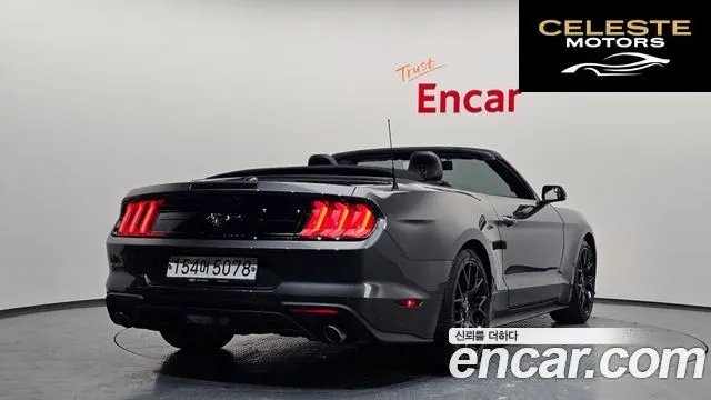 FORD Cabriolet 2020 — photo 2 sur 38