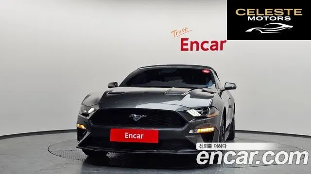 FORD Cabriolet 2020 — photo 3 sur 38