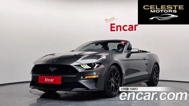 FORD Cabriolet 2020 — photo 38 sur 38