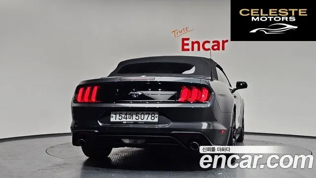FORD Cabriolet 2020 — photo 4 sur 38